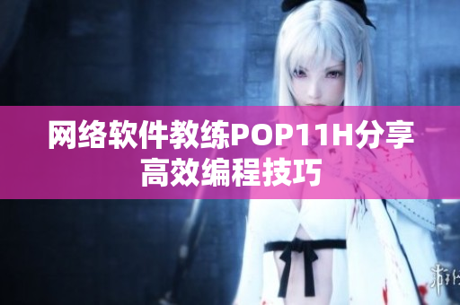 网络软件教练POP11H分享高效编程技巧