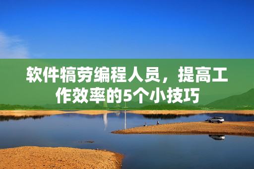 软件犒劳编程人员，提高工作效率的5个小技巧