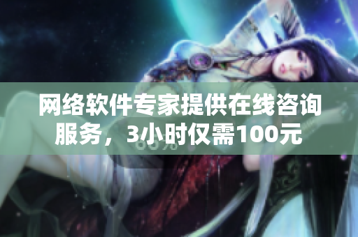 网络软件专家提供在线咨询服务，3小时仅需100元