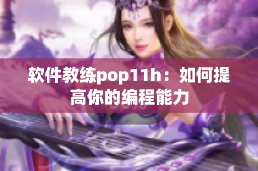 软件教练pop11h：如何提高你的编程能力