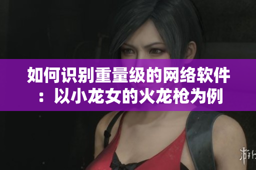 如何识别重量级的网络软件：以小龙女的火龙枪为例