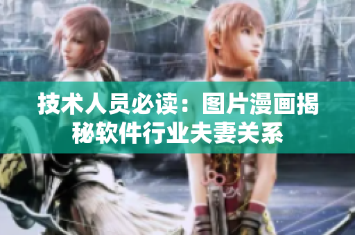技术人员必读：图片漫画揭秘软件行业夫妻关系