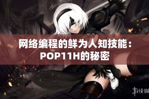 网络编程的鲜为人知技能：POP11H的秘密