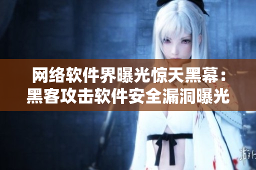 网络软件界曝光惊天黑幕：黑客攻击软件安全漏洞曝光