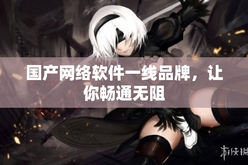 国产网络软件一线品牌，让你畅通无阻