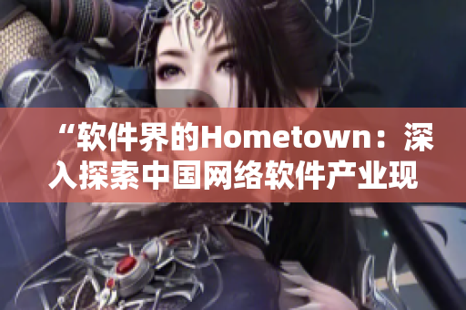 “软件界的Hometown：深入探索中国网络软件产业现状”