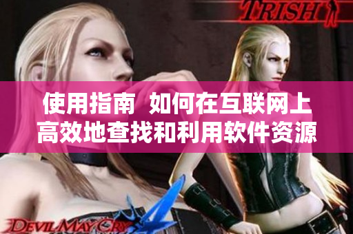 使用指南  如何在互联网上高效地查找和利用软件资源