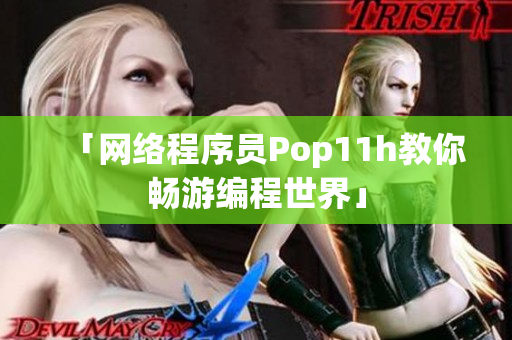 「网络程序员Pop11h教你畅游编程世界」