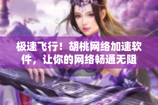 极速飞行！胡桃网络加速软件，让你的网络畅通无阻