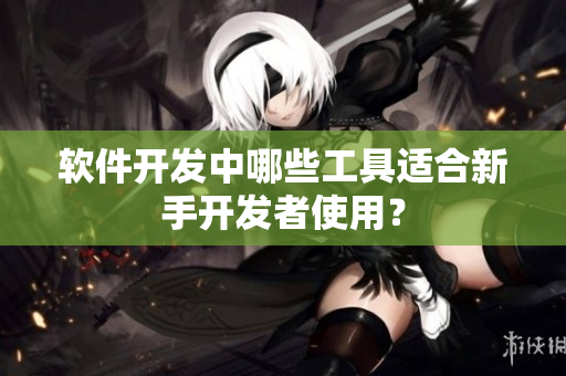 软件开发中哪些工具适合新手开发者使用？