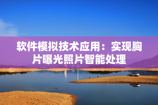 软件模拟技术应用：实现胸片曝光照片智能处理