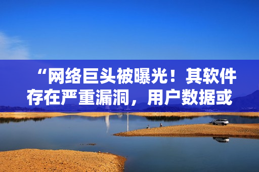 “网络巨头被曝光！其软件存在严重漏洞，用户数据或遭泄露！”