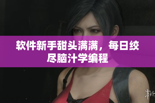 软件新手甜头满满，每日绞尽脑汁学编程