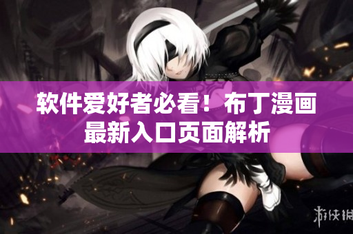 软件爱好者必看！布丁漫画最新入口页面解析