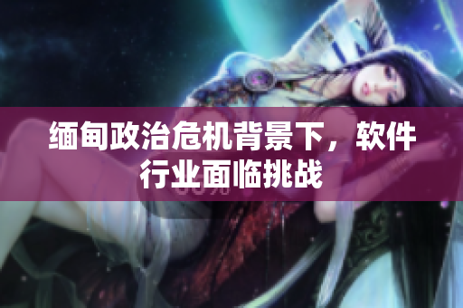 缅甸政治危机背景下，软件行业面临挑战