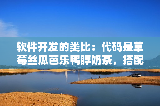软件开发的类比：代码是草莓丝瓜芭乐鸭脖奶茶，搭配工具技巧是关键