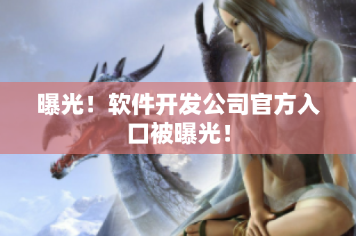 曝光！软件开发公司官方入口被曝光！