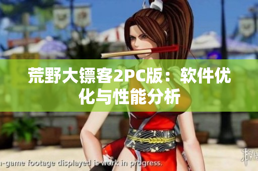 荒野大镖客2PC版：软件优化与性能分析