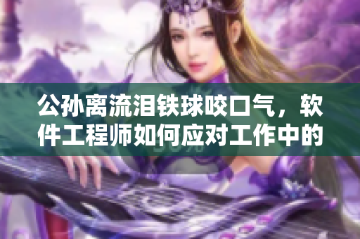 公孙离流泪铁球咬口气，软件工程师如何应对工作中的挑战？
