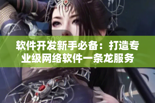 软件开发新手必备：打造专业级网络软件一条龙服务