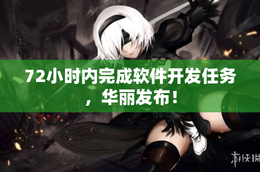 72小时内完成软件开发任务，华丽发布！