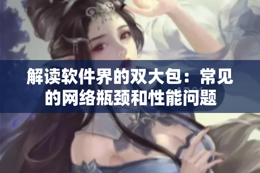 解读软件界的双大包：常见的网络瓶颈和性能问题