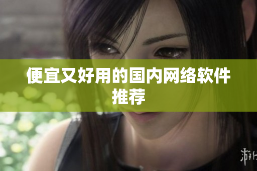 便宜又好用的国内网络软件推荐
