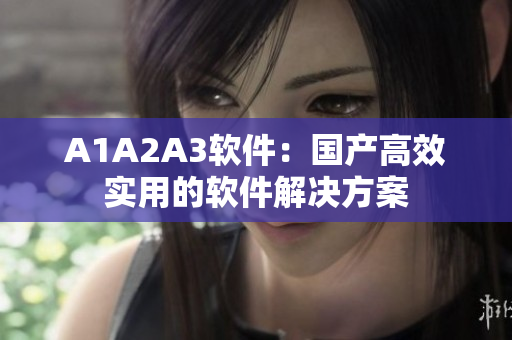 A1A2A3软件：国产高效实用的软件解决方案