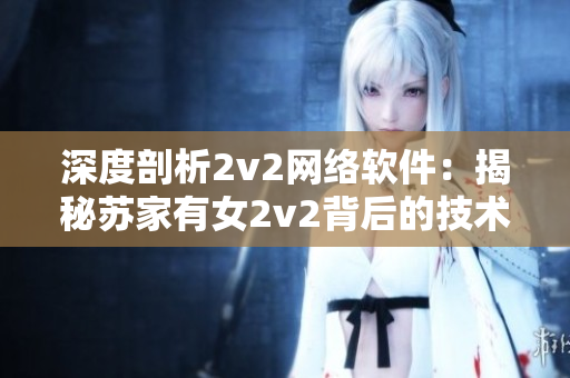 深度剖析2v2网络软件：揭秘苏家有女2v2背后的技术奥秘