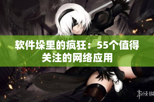 软件垛里的疯狂：55个值得关注的网络应用