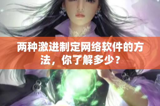 两种激进制定网络软件的方法，你了解多少？