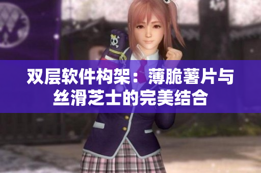 双层软件构架：薄脆薯片与丝滑芝士的完美结合