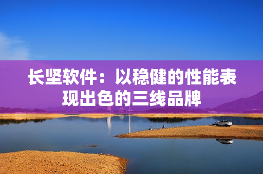 长坚软件：以稳健的性能表现出色的三线品牌