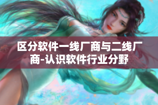 区分软件一线厂商与二线厂商-认识软件行业分野