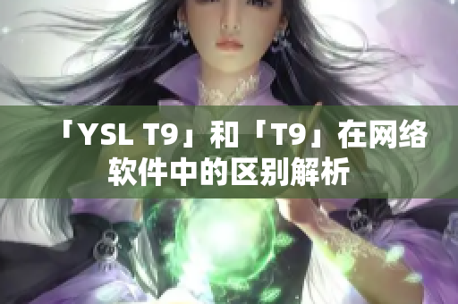 「YSL T9」和「T9」在网络软件中的区别解析