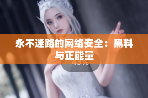 永不迷路的网络安全：黑料与正能量