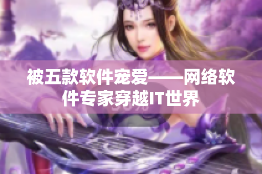 被五款软件宠爱——网络软件专家穿越IT世界