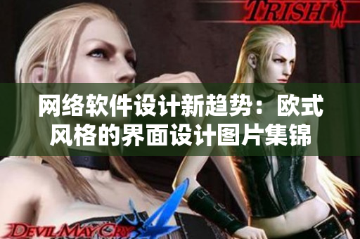网络软件设计新趋势：欧式风格的界面设计图片集锦