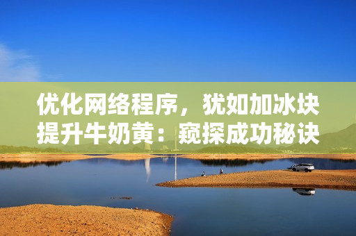 优化网络程序，犹如加冰块提升牛奶黄：窥探成功秘诀