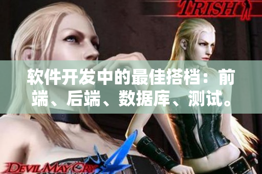 软件开发中的最佳搭档：前端、后端、数据库、测试。