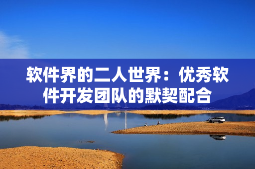 软件界的二人世界：优秀软件开发团队的默契配合