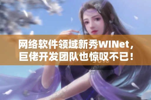 网络软件领域新秀WINet，巨佬开发团队也惊叹不已！