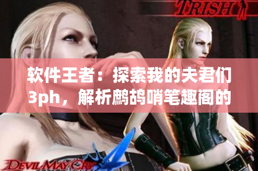 软件王者：探索我的夫君们3ph，解析鹧鸪哨笔趣阁的成功之道