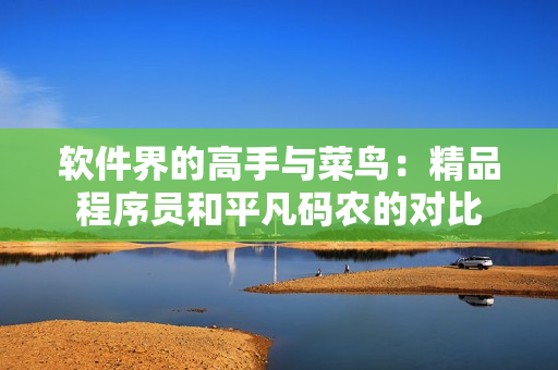 软件界的高手与菜鸟：精品程序员和平凡码农的对比