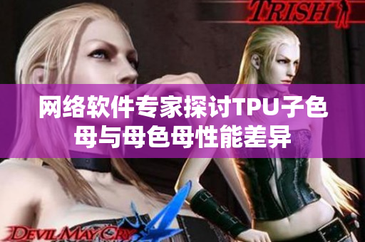 网络软件专家探讨TPU子色母与母色母性能差异