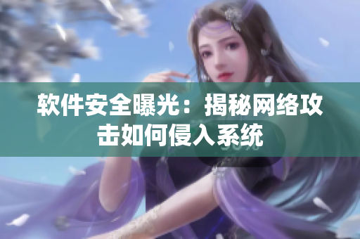 软件安全曝光：揭秘网络攻击如何侵入系统