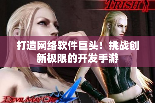 打造网络软件巨头！挑战创新极限的开发手游