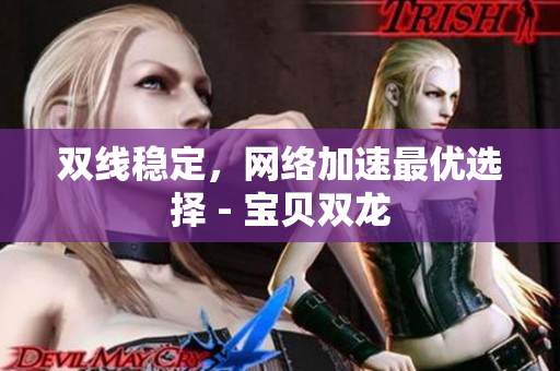 双线稳定，网络加速最优选择 - 宝贝双龙