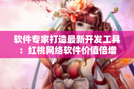 软件专家打造最新开发工具：红桃网络软件价值倍增