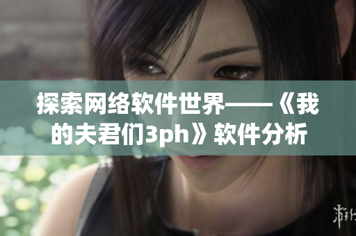 探索网络软件世界——《我的夫君们3ph》软件分析